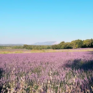 Bed & Breakfast Maison Francoise